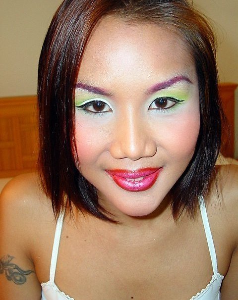 PferdeStehlen aus Freiburg,Schweiz